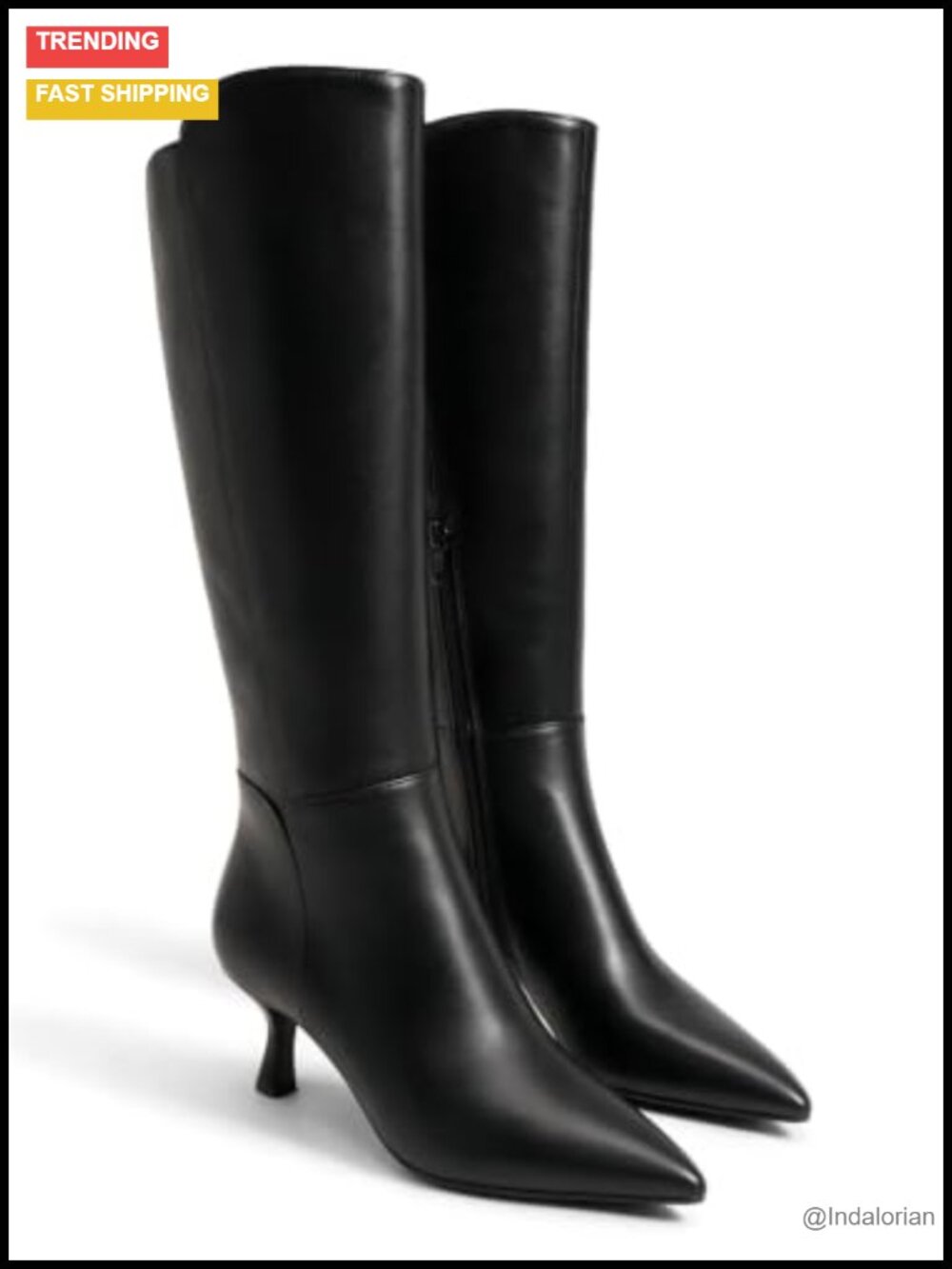 Coutgo Womens Knee High Boots Kitten Heel Pointed Toe Side Zip Dress Tall Boots